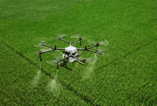 Drone spraying crops from the air.